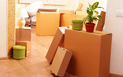Fort Mill Apartment Movers 