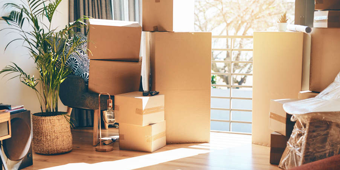 apartment shifting services in Fort Mill 